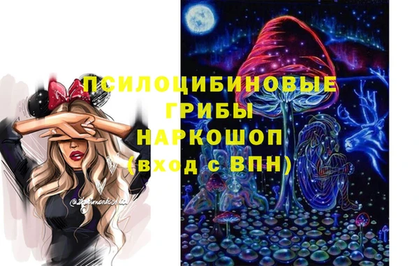 гидропоника Аркадак