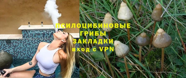СК Арсеньев