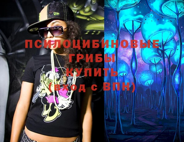 хмурый Инсар