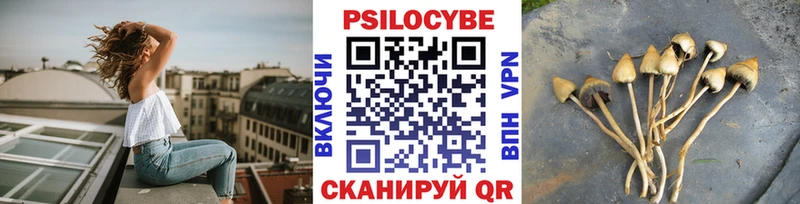 Галлюциногенные грибы мицелий  Азов 